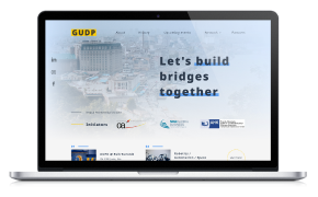 web development