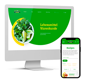 web development