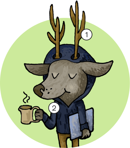 developer portrait