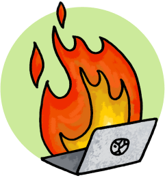 developer portrait
